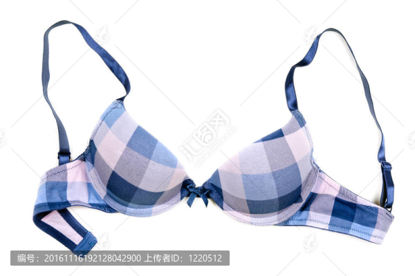 藍(lán)色花紋的胸罩