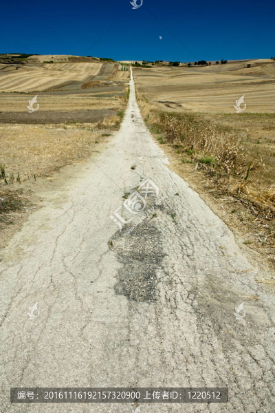 沙漠公路