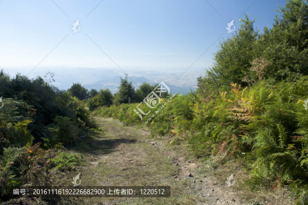 山上的小路