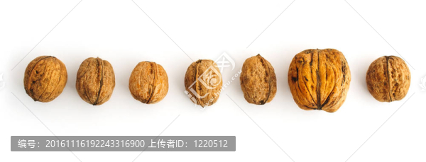 核桃性概念