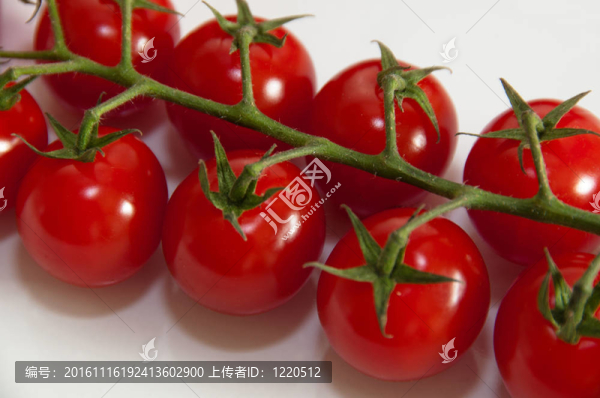 葡萄上的櫻桃番茄
