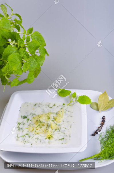 波蘭蒔蘿湯