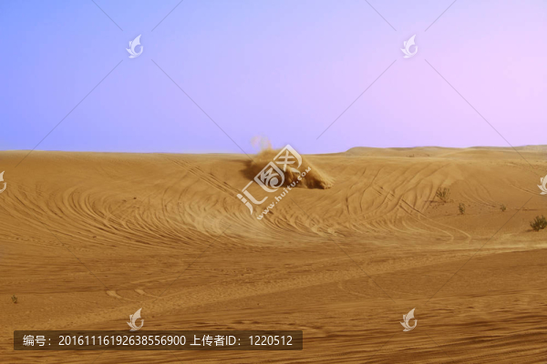 Sahara沙漠