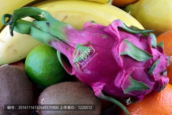 不同食用水果混合泳準(zhǔn)備吃