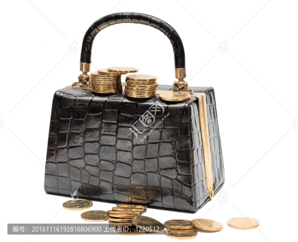 帶硬幣的女真皮手袋