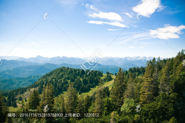 阿爾卑斯山脈