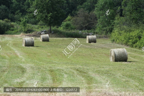 Hay,Bales（圓）