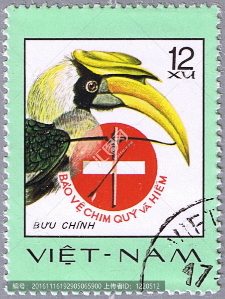 大犀鳥