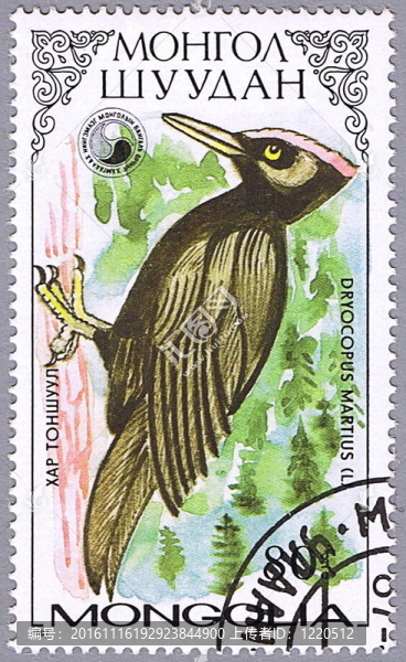 啄木鳥