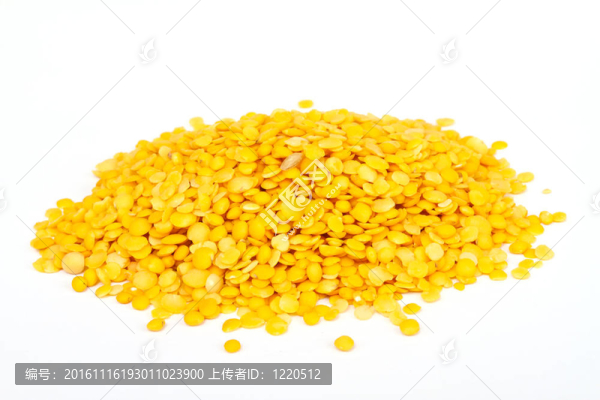 黃扁豆孤立在白色背景。微距鏡頭。