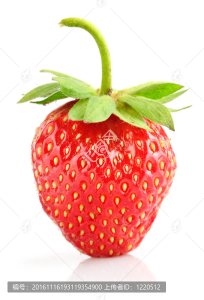 綠葉草莓漿果-匯圖網(wǎng) www.fosd68.com 綠葉草莓漿果