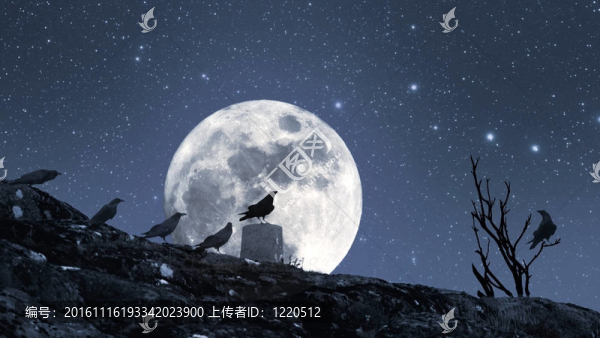 烏鴉的萬(wàn)圣節(jié)聚會(huì)