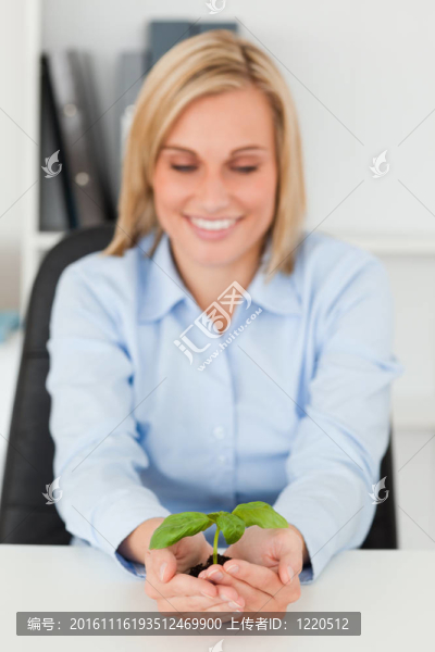 微笑的商人看著小小的綠色植物