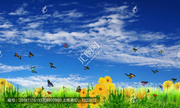 美麗的花朵，藍(lán)色的天空