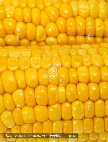 煮熟的玉米