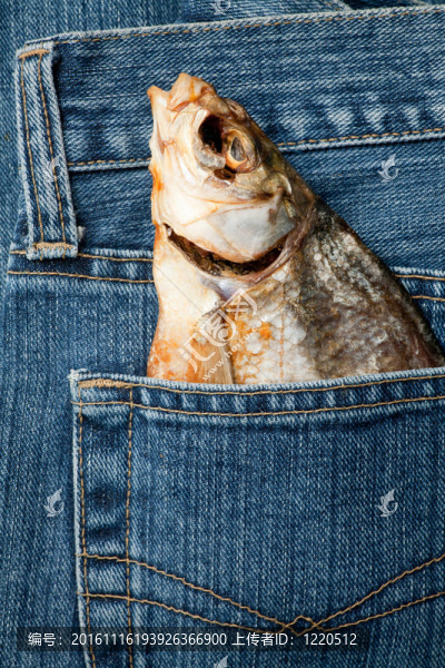 口袋里的魚(yú)