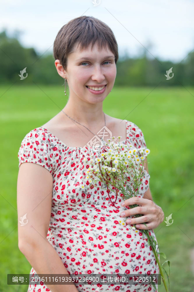 孕婦洋甘菊