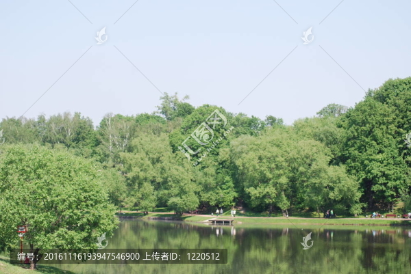 莫斯科春季夏季城市公園