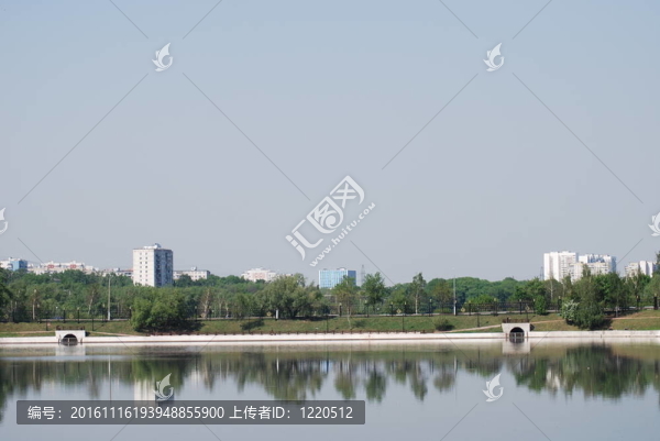 莫斯科春季夏季城市公園