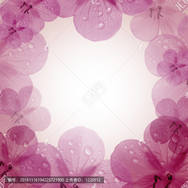 具有復(fù)制空間的粉紅花相框