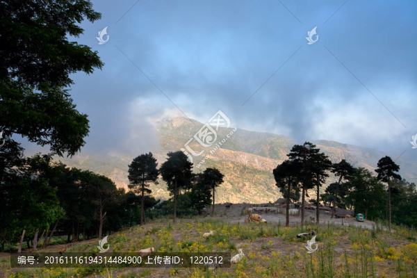山地牧場