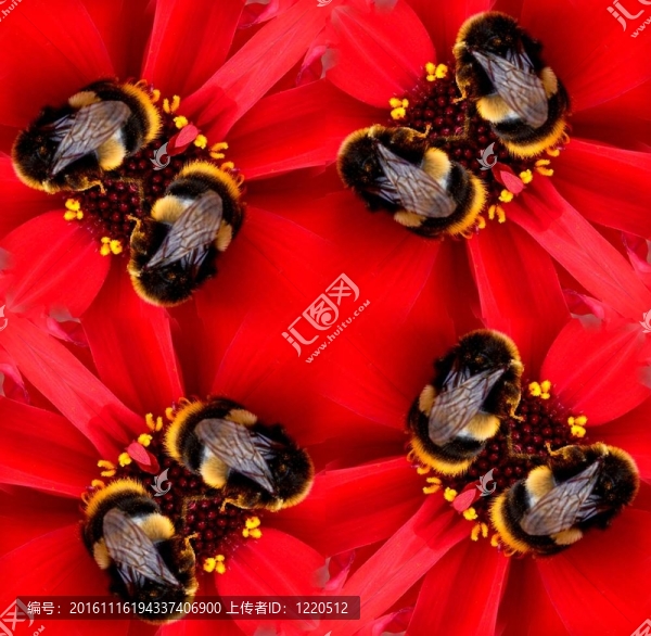 蜜蜂在花上的無(wú)縫圖案