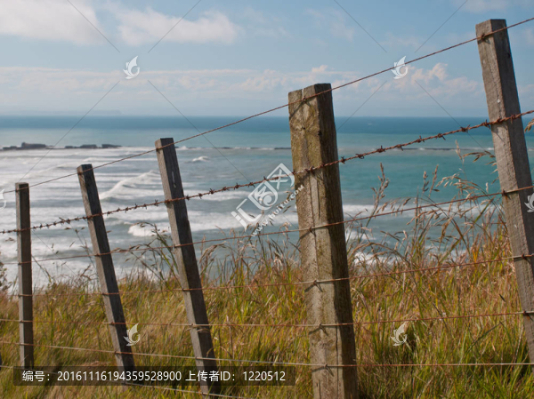 海景籬笆