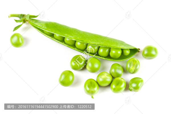 成熟的豌豆