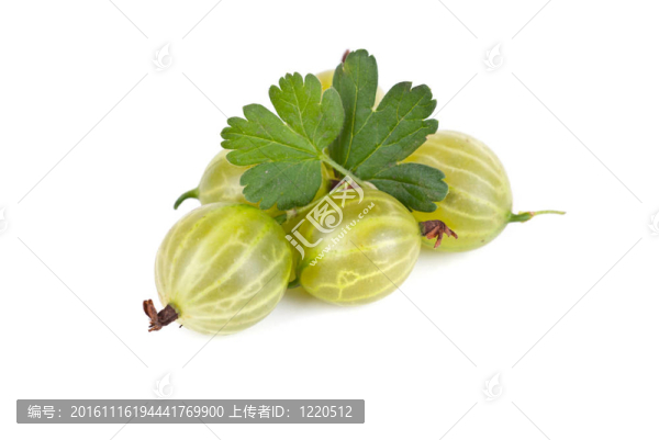 醋栗