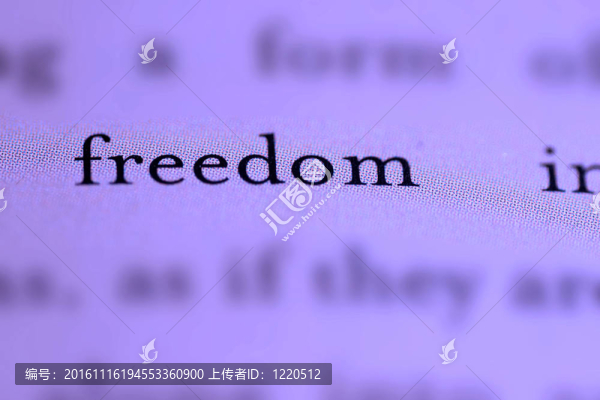 文本中的自由詞
