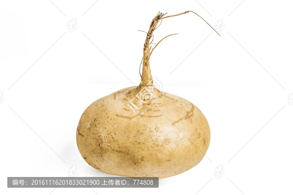 涼署