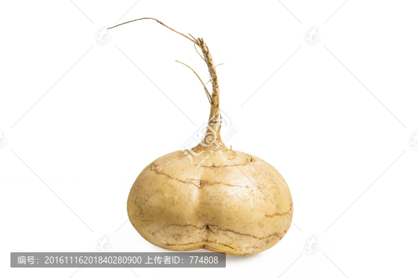 豆薯