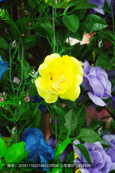 鮮花,鮮花店