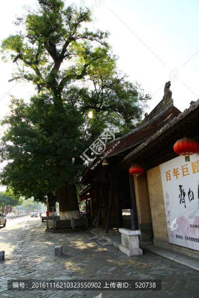 甘肅,天水,民俗,博物館