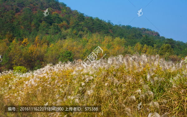 山村秋色