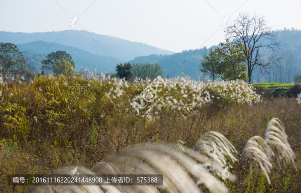 山村秋色