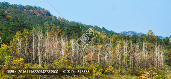 秋天風(fēng)景