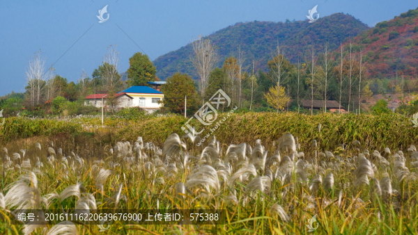 秋天風(fēng)景