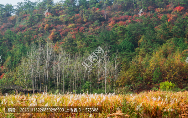 秋天風(fēng)景