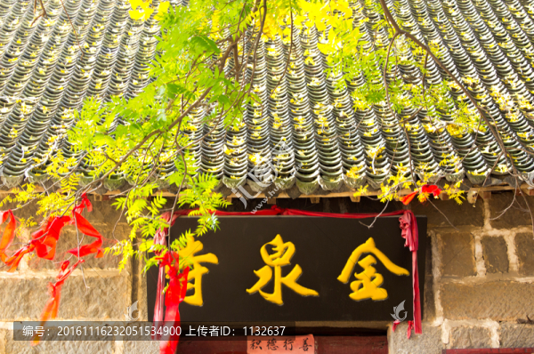 千年銀杏樹(shù)
