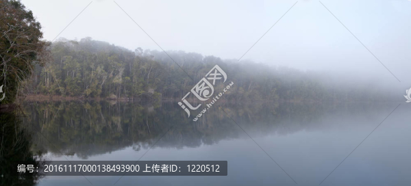 在湖eecham霧