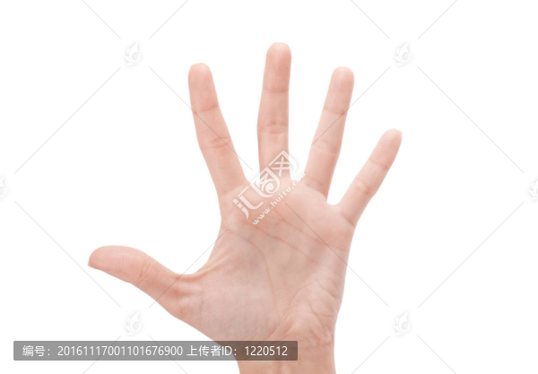 打開女人的手或數(shù)字五孤立在白色