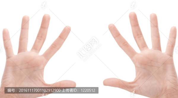 打開女人的手或數(shù)字五孤立在白色