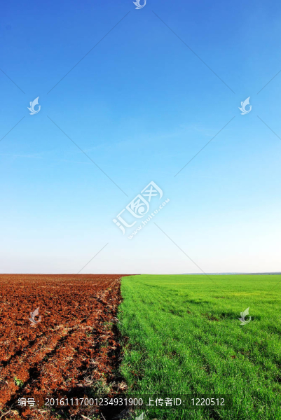 犁和綠色領(lǐng)域的背景