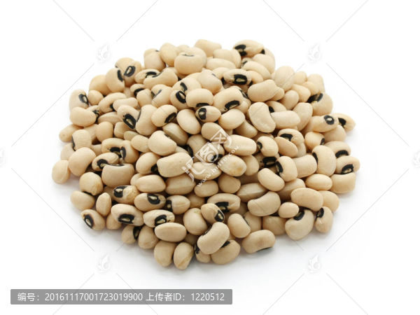 黑眼豆豆