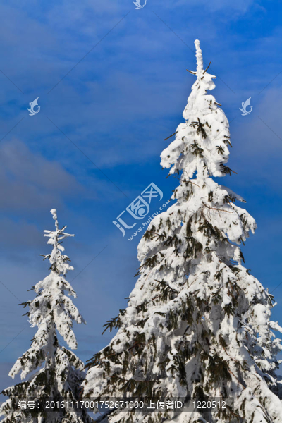 銷(xiāo)雪