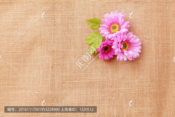 亞麻紋理背景與美麗的花朵