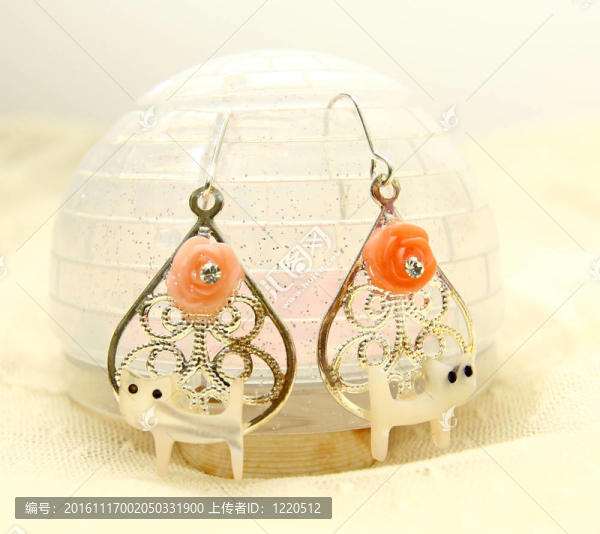 耳環(huán)飾品