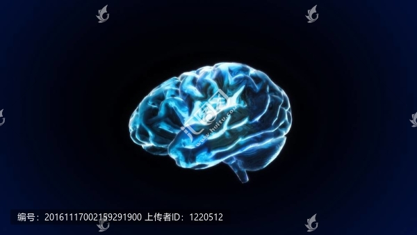 藍(lán)色水晶的大腦仍然呈現(xiàn)