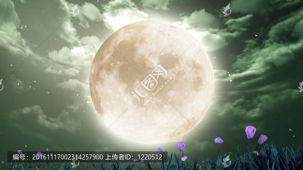 夜空中的月亮